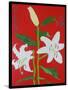 White lily on a red background no.2, 2008-Timothy Nathan Joel-Stretched Canvas