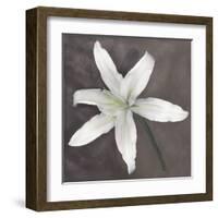 White Lily-Erin Clark-Framed Art Print