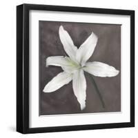 White Lily-Erin Clark-Framed Art Print