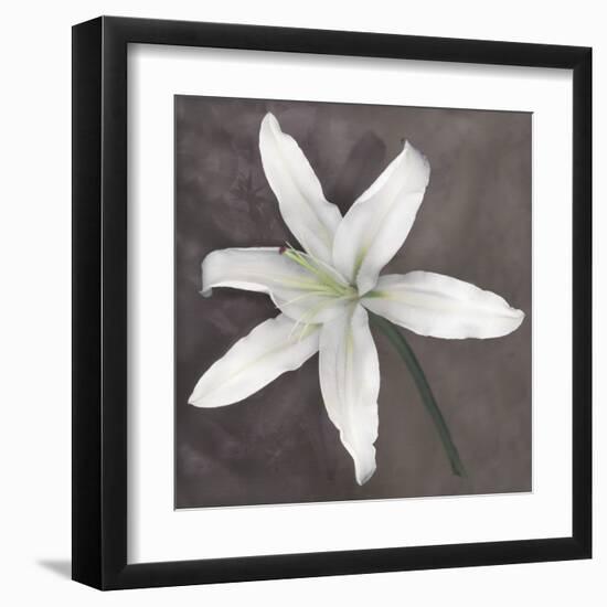 White Lily-Erin Clark-Framed Art Print