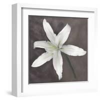 White Lily-Erin Clark-Framed Art Print