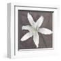 White Lily-Erin Clark-Framed Giclee Print