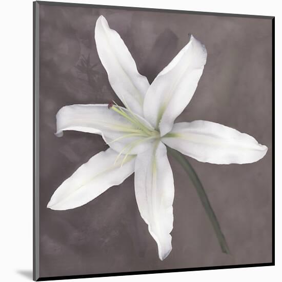 White Lily-Erin Clark-Mounted Giclee Print