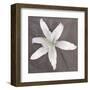 White Lily-Erin Clark-Framed Art Print