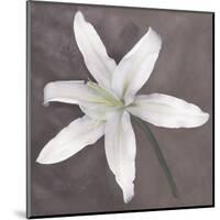 White Lily-Erin Clark-Mounted Art Print