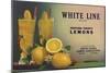 White Line Brand - Oxnard, California - Citrus Crate Label-Lantern Press-Mounted Art Print