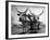 White Long-Horned Steers Teamed Up Like Oxen to Pull a Hay Wagon on the Anyala Farm-Margaret Bourke-White-Framed Photographic Print