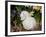 White Lop Rabbit with Daffodils-Lynn M^ Stone-Framed Photographic Print