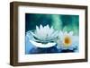 White Lotus Flower-Olga Miltsova-Framed Photographic Print