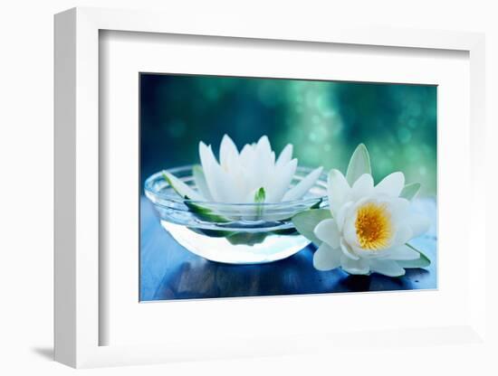 White Lotus Flower-Olga Miltsova-Framed Photographic Print