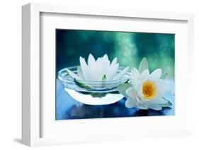 White Lotus Flower-Olga Miltsova-Framed Photographic Print