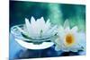 White Lotus Flower-Olga Miltsova-Mounted Photographic Print