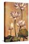 White Lotus-Jill Deveraux-Stretched Canvas