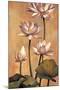 White Lotus-Jill Deveraux-Mounted Art Print