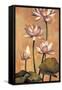 White Lotus-Jill Deveraux-Framed Stretched Canvas