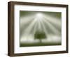 White Magic-Adrian Campfield-Framed Giclee Print