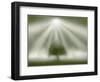 White Magic-Adrian Campfield-Framed Giclee Print