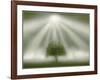 White Magic-Adrian Campfield-Framed Giclee Print