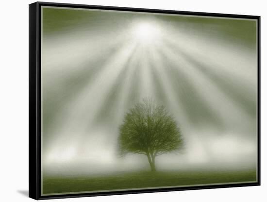 White Magic-Adrian Campfield-Framed Stretched Canvas