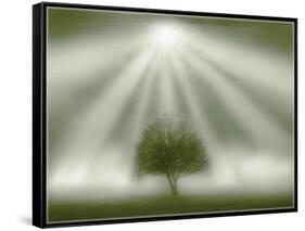 White Magic-Adrian Campfield-Framed Stretched Canvas