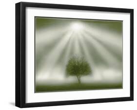 White Magic-Adrian Campfield-Framed Giclee Print