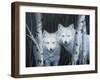 White Magic-Rusty Frentner-Framed Giclee Print