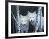 White Magic-Rusty Frentner-Framed Giclee Print