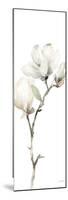 White Magnolia II Panel-Katrina Pete-Mounted Premium Giclee Print