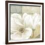 White Magnolia II-Linda Wood-Framed Art Print