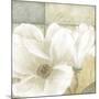 White Magnolia II-Linda Wood-Mounted Art Print