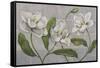 White Magnolia-John Zaccheo-Framed Stretched Canvas