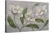 White Magnolia-John Zaccheo-Stretched Canvas