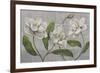 White Magnolia-John Zaccheo-Framed Giclee Print