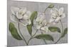 White Magnolia-John Zaccheo-Mounted Giclee Print