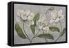 White Magnolia-John Zaccheo-Framed Stretched Canvas