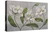 White Magnolia-John Zaccheo-Stretched Canvas