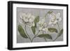 White Magnolia-John Zaccheo-Framed Giclee Print