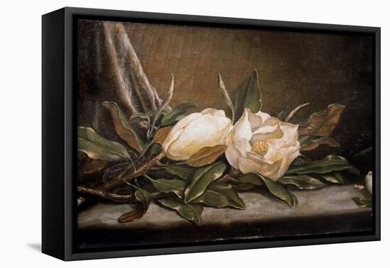 White Magnolias on a Blue Cloth-Martin Johnson Heade-Framed Stretched Canvas