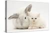 White Maine Coon Kitten Sleeping Next to a White Rabbit-Mark Taylor-Stretched Canvas