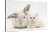 White Maine Coon Kitten Sleeping Next to a White Rabbit-Mark Taylor-Stretched Canvas