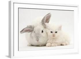 White Maine Coon Kitten Sleeping Next to a White Rabbit-Mark Taylor-Framed Photographic Print