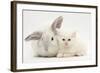 White Maine Coon Kitten Sleeping Next to a White Rabbit-Mark Taylor-Framed Photographic Print