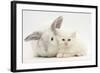 White Maine Coon Kitten Sleeping Next to a White Rabbit-Mark Taylor-Framed Photographic Print