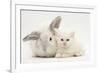 White Maine Coon Kitten Sleeping Next to a White Rabbit-Mark Taylor-Framed Photographic Print