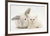 White Maine Coon Kitten Sleeping Next to a White Rabbit-Mark Taylor-Framed Photographic Print