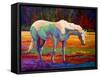 White MareII-Marion Rose-Framed Stretched Canvas