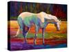 White MareII-Marion Rose-Stretched Canvas