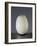 White Milk Glass Egg, France-null-Framed Giclee Print