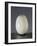 White Milk Glass Egg, France-null-Framed Giclee Print