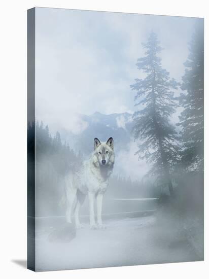 White Mist 2-Gordon Semmens-Stretched Canvas
